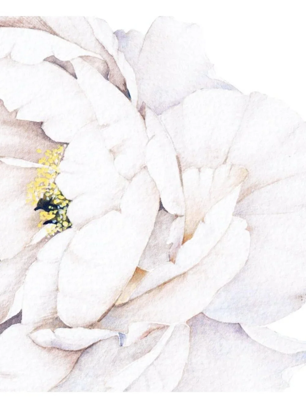 Elegant Peony Flower Wall Sticker - White Floral Decal for Home Decor